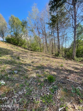 1948 Winter Winds Ln, Knoxville, TN 37909