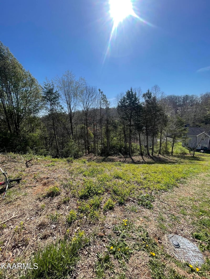 1948 Winter Winds Ln, Knoxville, TN 37909