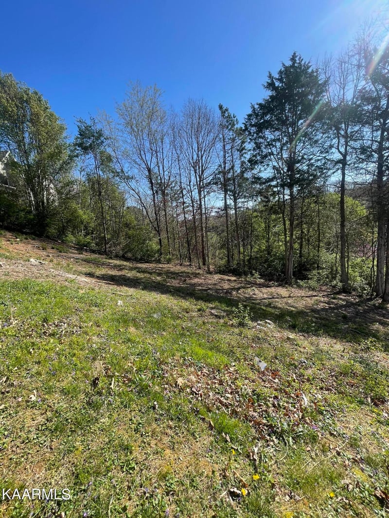 1948 Winter Winds Ln, Knoxville, TN 37909