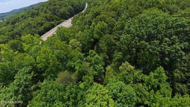 195 Sherwood Ln, Harriman, TN 37748