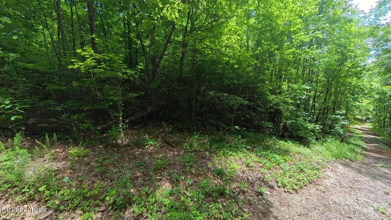 195 Sherwood Ln, Harriman, TN 37748