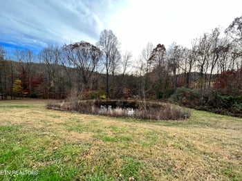 195 Skyview Dr, Newcomb, TN 37819