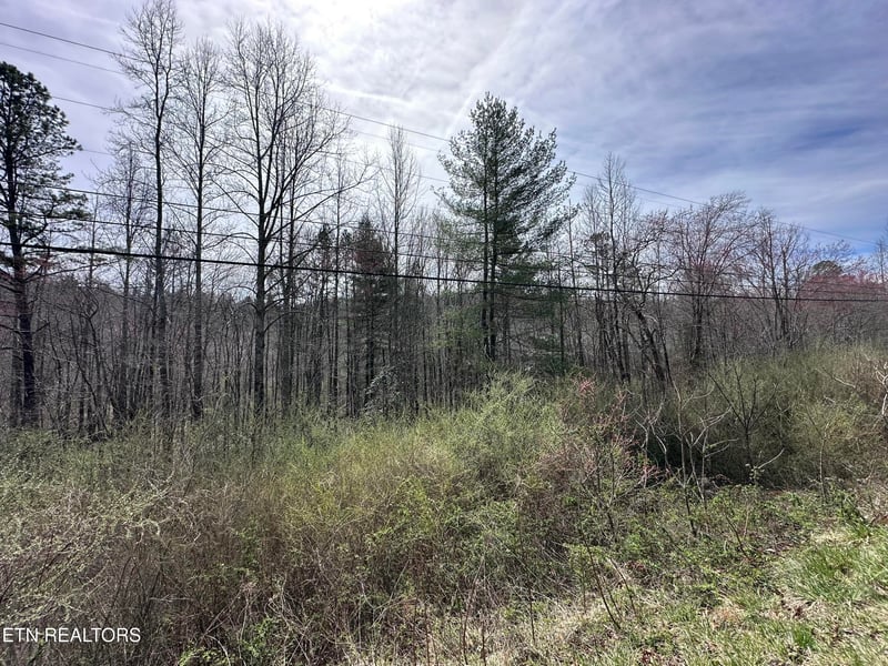 1953 Airport Rd, Oakdale, TN 37829