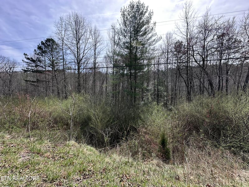 1953 Airport Rd, Oakdale, TN 37829