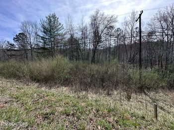 1953 Airport Rd, Oakdale, TN 37829