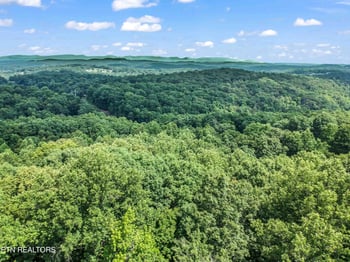 1955 Price Rd, Lenoir City, TN 37771