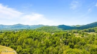 1958 Branam Hill Rd, Jellico, TN 37762