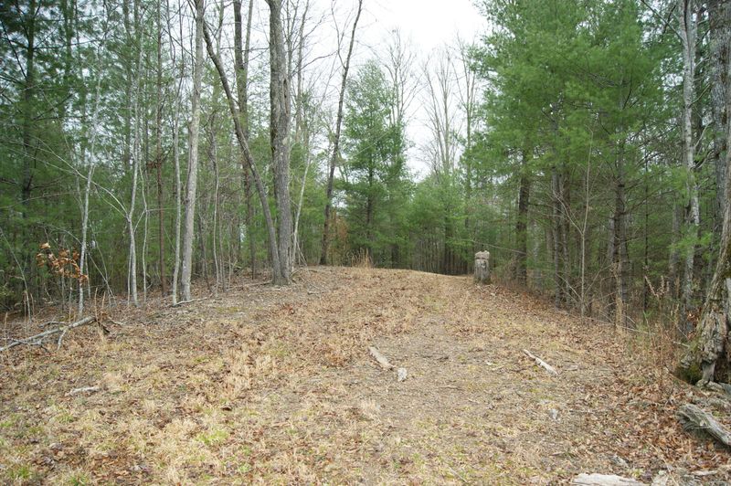 1959 Rafter Rd, Tellico Plains, TN 37385