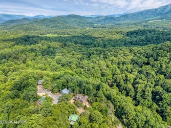 196 Cold Springs Tc, Townsend, TN 37882
