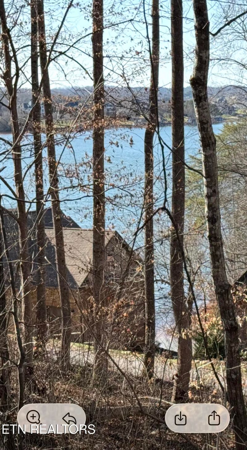 196 E Cove Dr, Greenback, TN 37742