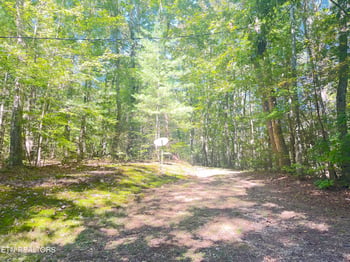 196 Roberts Ln, Tellico Plains, TN 37385