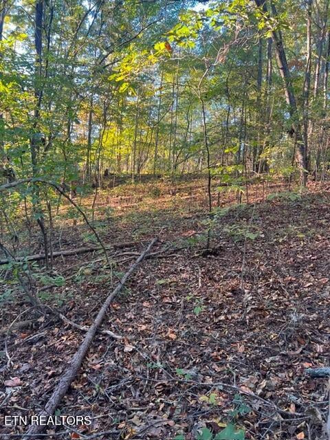 196 Woodstock Dr #179, Rutledge, TN 37861