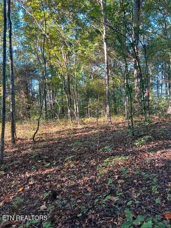 196 Woodstock Dr #179, Rutledge, TN 37861