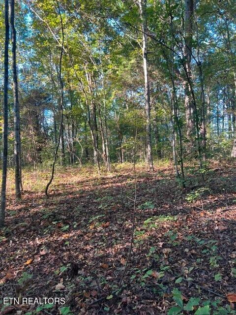 196 Woodstock Dr #179, Rutledge, TN 37861