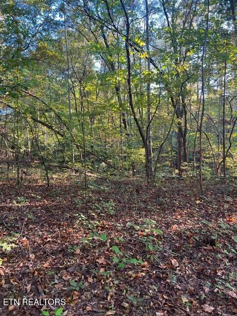 196 Woodstock Dr #179, Rutledge, TN 37861