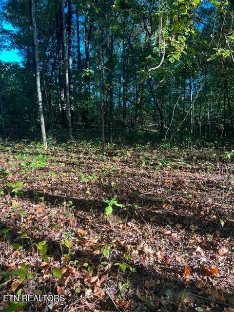 196 Woodstock Dr #179, Rutledge, TN 37861