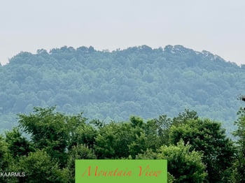196 Wooldridge Pike, Newcomb, TN 37819