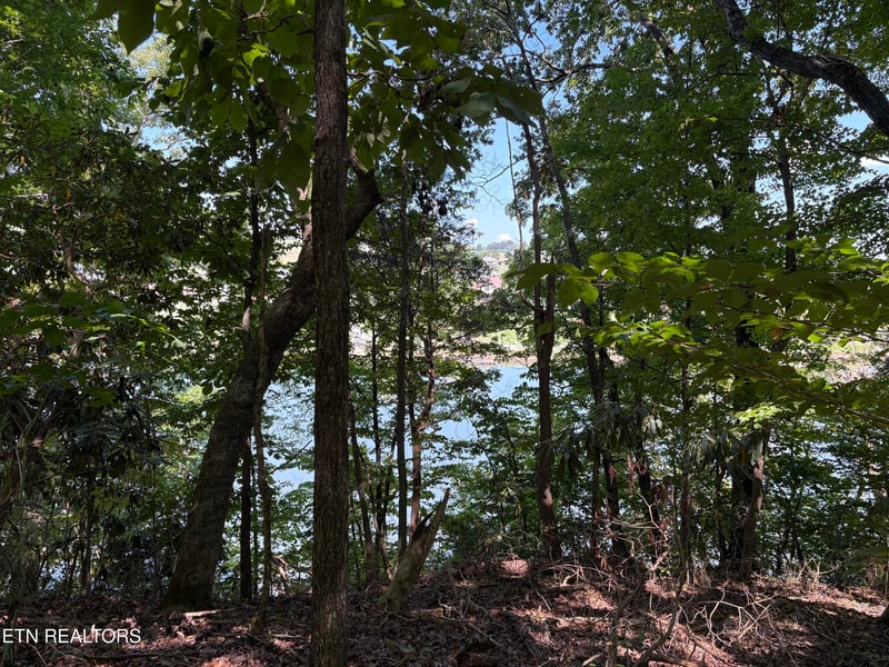 1968 Tranquility Ln, Sevierville, TN 37876