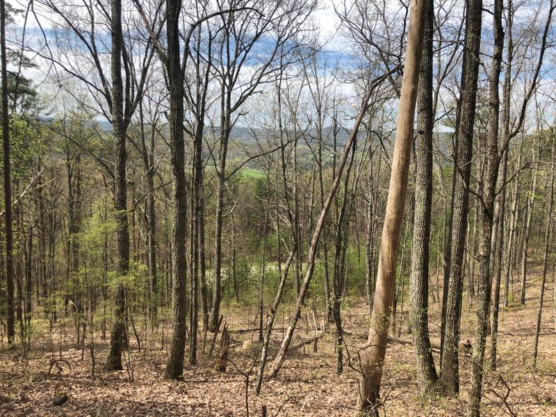 197 Cherokee Winds, Tellico Plains, TN 37385