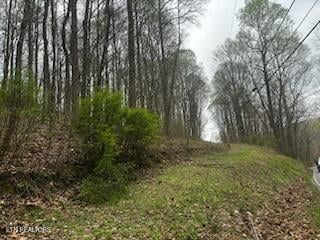 197 County Rd, Athens, TN 37303
