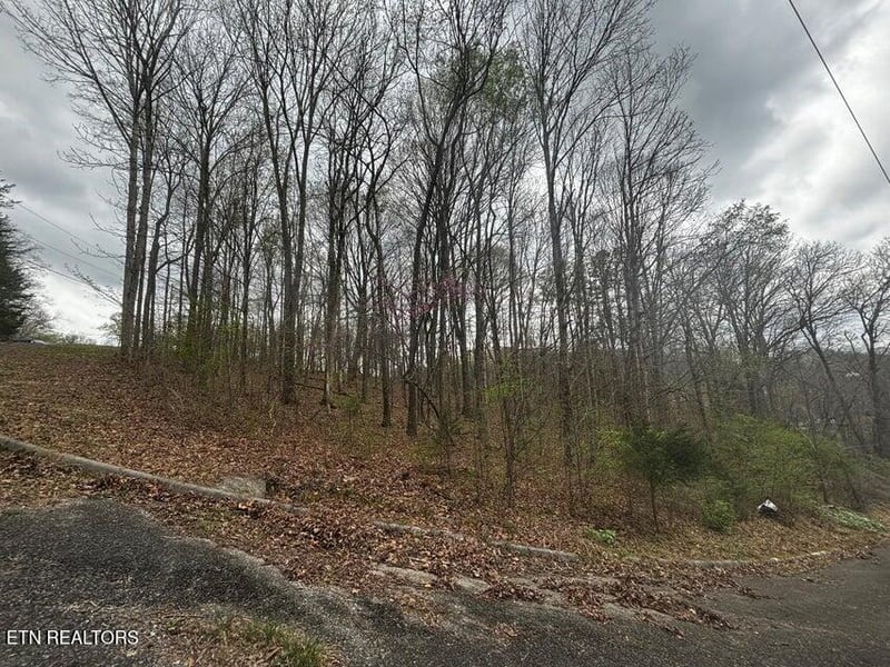 197 County Rd, Athens, TN 37303