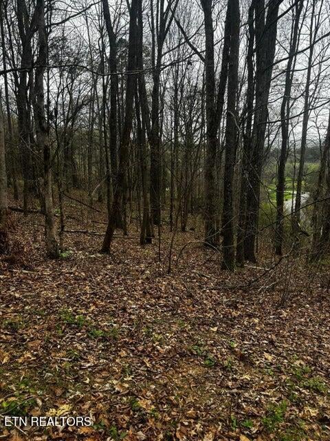 197 County Rd, Athens, TN 37303