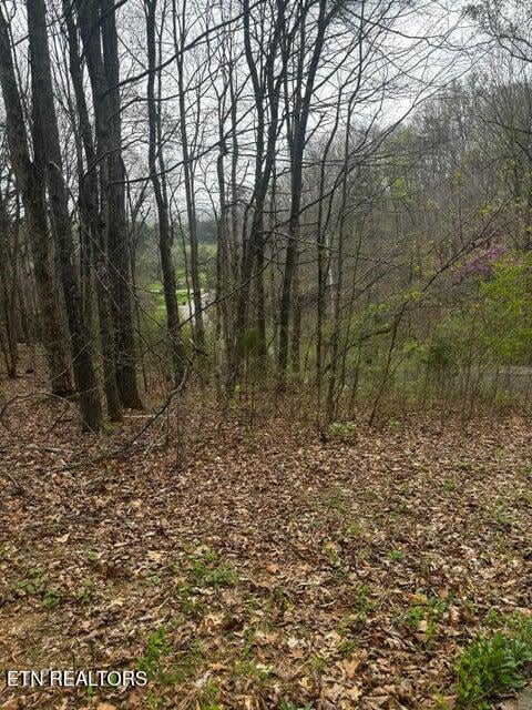 197 County Rd, Athens, TN 37303