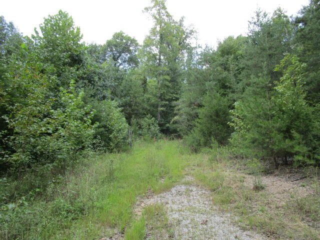 1970 Corbin Lake Rd, Rutledge, TN 37861