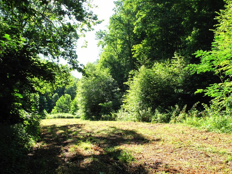 1976 Carrs Creek Rd, Townsend, TN 37882