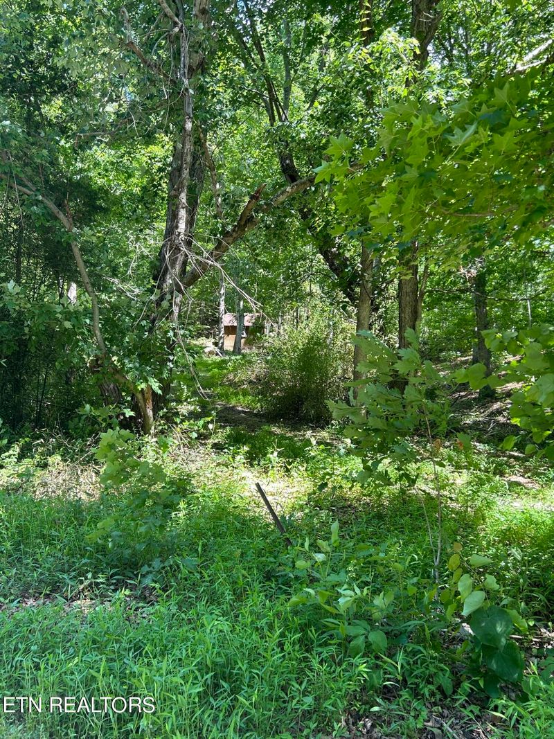 198 Griffith Point, Kingston, TN 37763