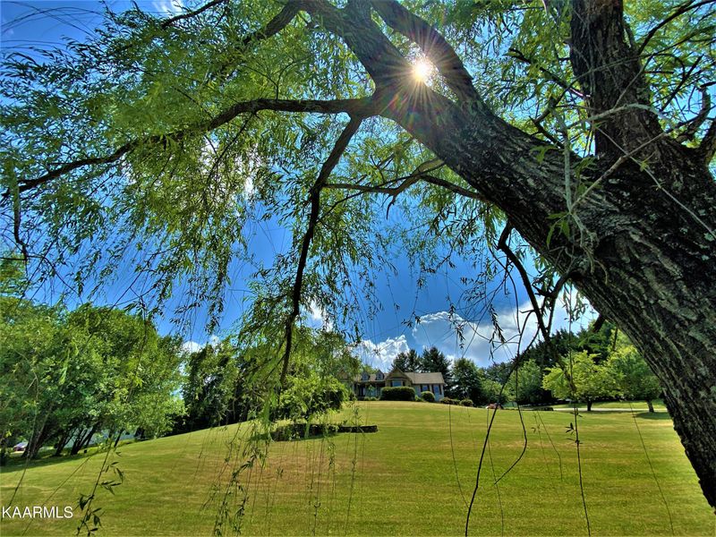 198 Springfield Ln, Jacksboro, TN 37757
