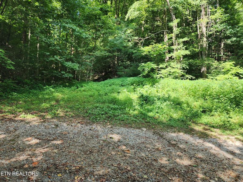 1986 Carrs Creek Rd, Townsend, TN 37882