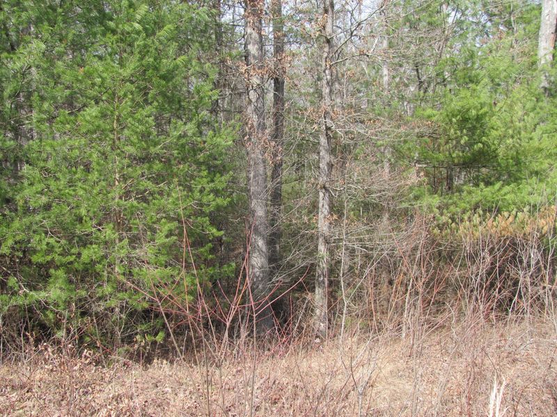199 Forest View Dr, Fairfield Glade, TN 38558
