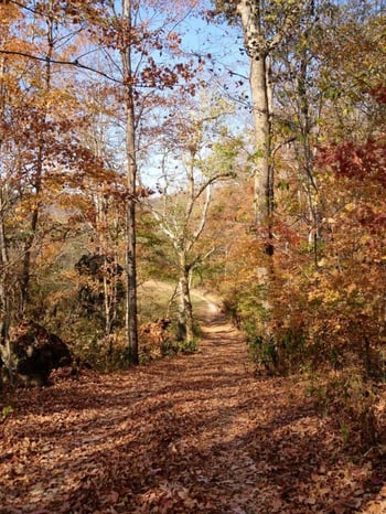199 Johnson Ferry Ln, Andersonville, TN 37705