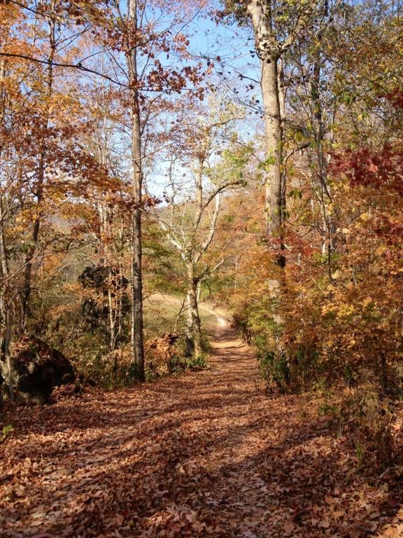 199 Johnson Ferry Ln, Andersonville, TN 37705
