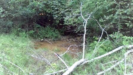 199 Riverbend Ln, Robbins, TN 37852