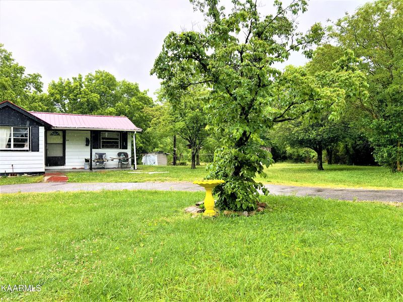 199 Seitz Ln, Caryville, TN 37714