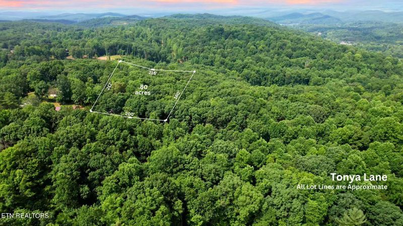 199 Tonya Ln, Harriman, TN 37748