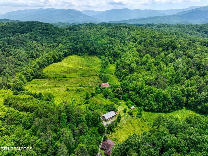 1A 4255 Lower Powdermill Rd, Sevierville, TN 37876