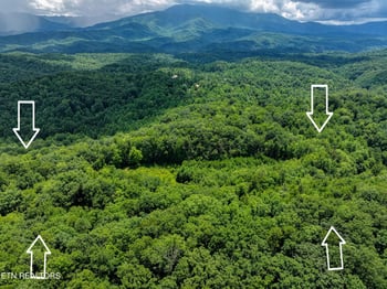 1A 4255 Lower Powdermill Rd, Sevierville, TN 37876