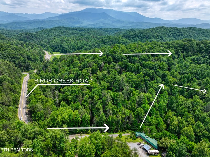 1A Birds Creek Rd, Gatlinburg, TN 37738