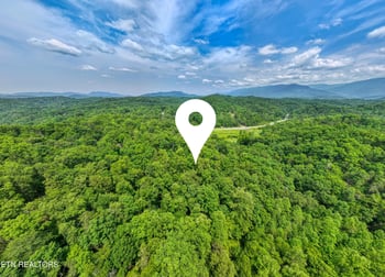 1A Birds Creek Rd, Gatlinburg, TN 37738