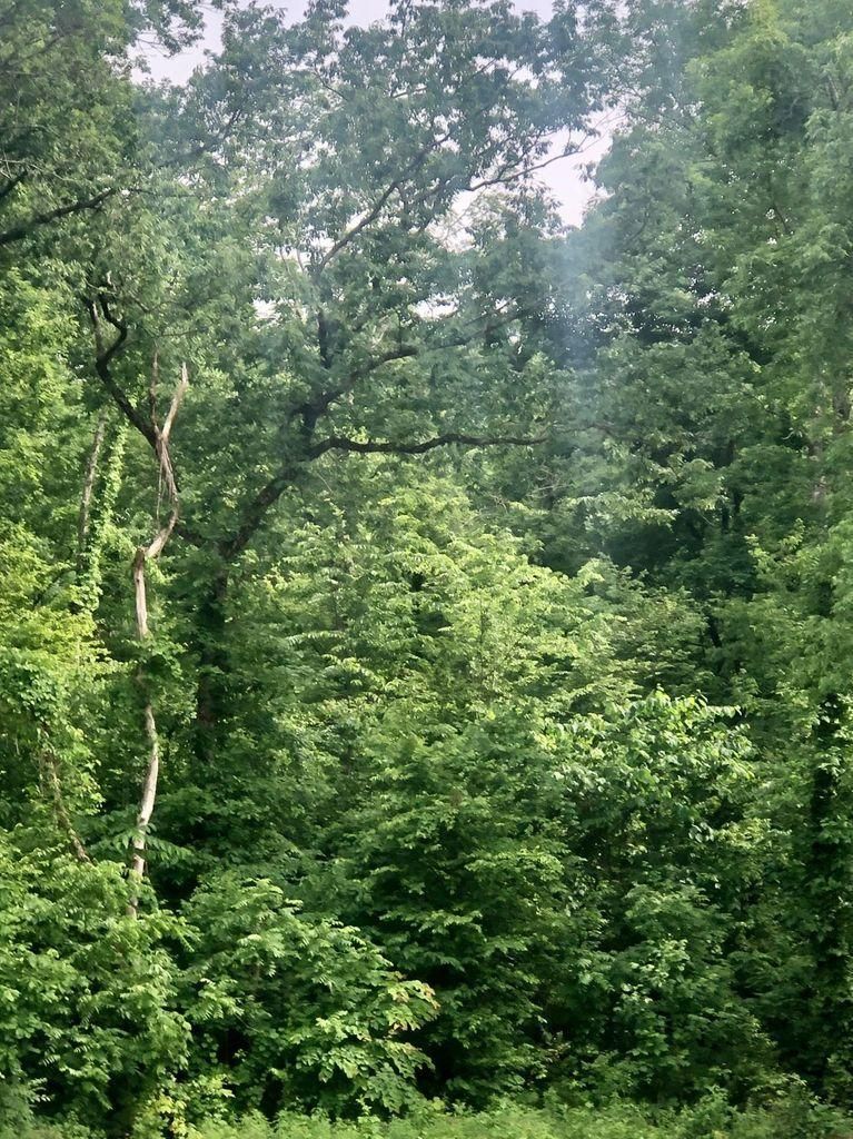 1A Hurlbut Way, Sevierville, TN 37862