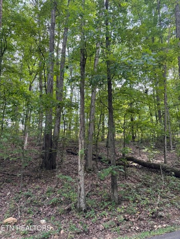 1ac Sunnyside Rd, Philadelphia, TN 37846