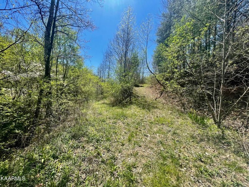 2 Cane Creek Mountain Rd, Tellico Plains, TN 37385