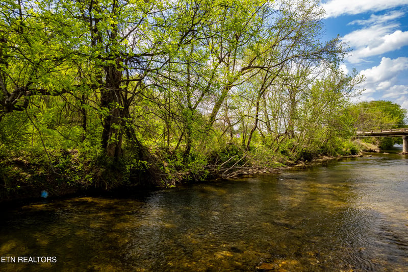 2 Cherohala Skyway, Tellico Plains, TN 37385