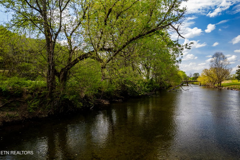 2 Cherohala Skyway, Tellico Plains, TN 37385