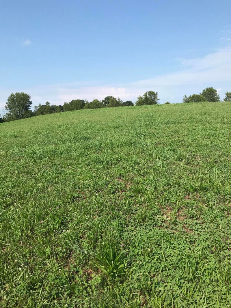 2 Lakeside Rd, Madisonville, TN 37354
