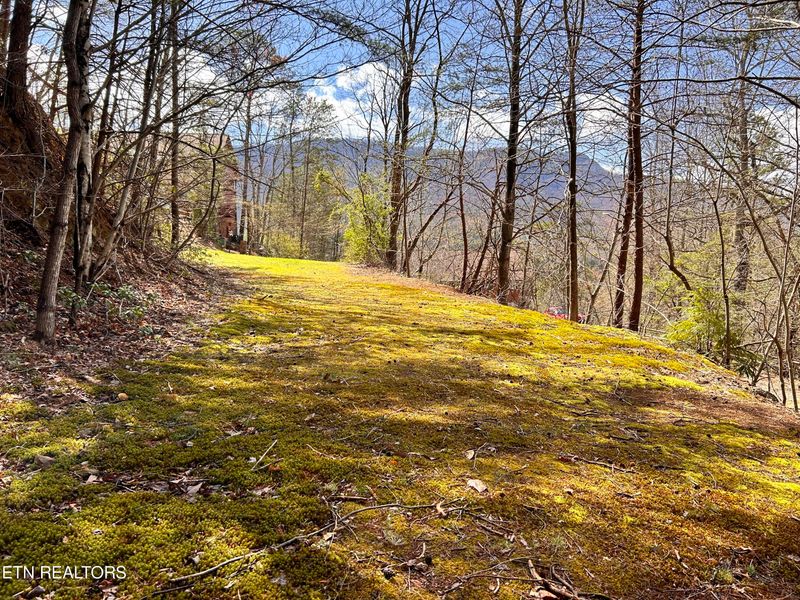 2 Tracts Deer Path Ln, Gatlinburg, TN 37738