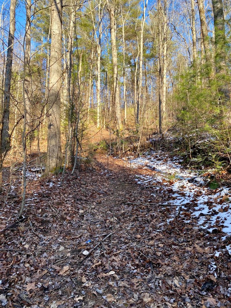 2.04 Smithfield Rd, Tellico Plains, TN 37385
